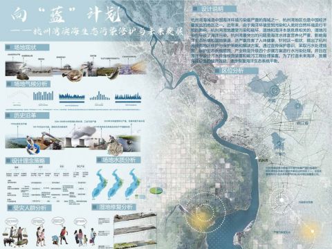 《向“蓝”计划——杭州湾滨海生态污染修护与未来发展》