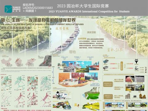 勃驳生辉——发现富有生机的驳岸世界