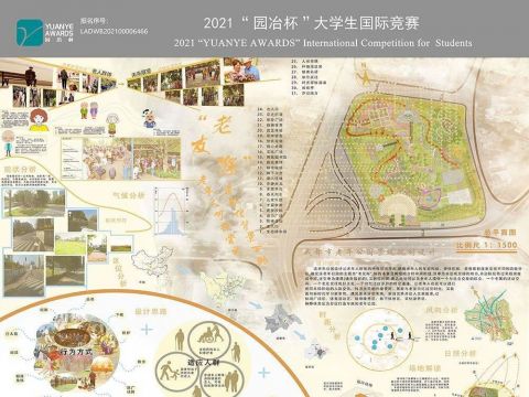 老友际--老龄化背景下的老年人呵护尝试