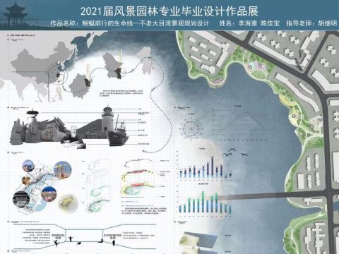 蜿蜒前行的生命线——不老大目湾景观规划设计