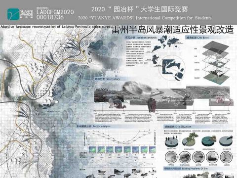 雷州半岛风暴潮适应性景观改造