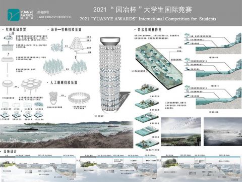 瑚·归——基于围海造陆对海洋破坏的生态修景观设计