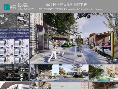 崖壁上的“秘密花园”