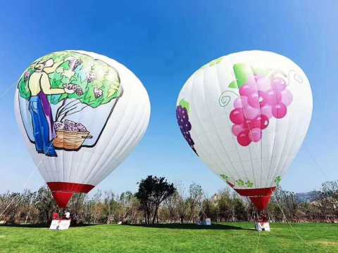 秦皇岛昌黎产业小镇项目园林景观工程