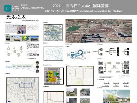 无本之木——此心安处是吾乡