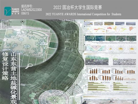 山东东营土地盐碱化景观生态修复设计策略