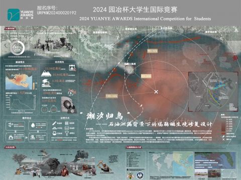 “潮汐归鸟”——石油泄漏背景下的褐鹈鹕生境修复设计