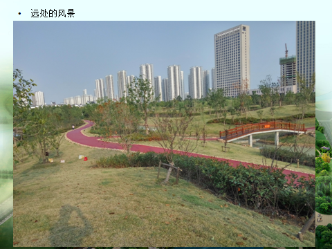 塘西河公园景观（广西路以西）绿化提升工程