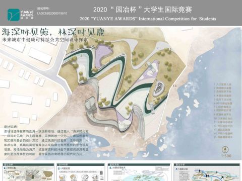 海深时见鲸，林深时见鹿