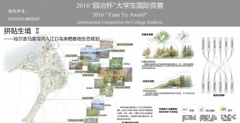 拼贴生境——哈尔滨马家沟河入江口鸟类栖息地生态规划