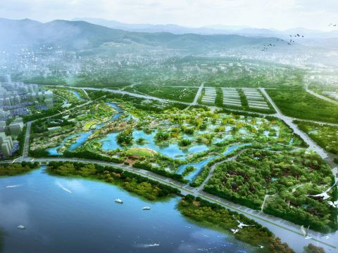 马銮湾新城集美片区水生态修复工程(二期)