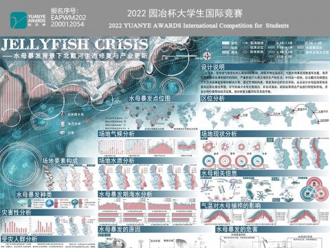 Jellyfish crisis——水母暴发背景下北戴河生态修复与产业更新