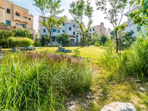 秦皇岛黄金假日滨海度假城C2地块景观设计