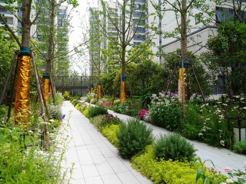 上海南山虹桥领峯项目花境工程