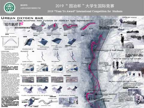 城市氧吧——森林顶级群落的塑造与融合