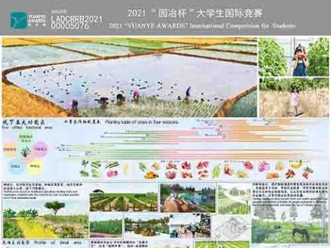 与侬共享——心有千千结，共携绿水青山