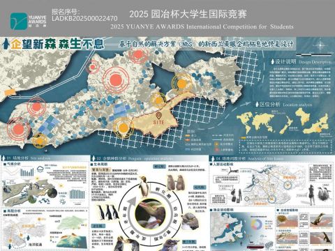 企望新森  森生不息——基于自然的解决方案（NbS）的新西兰黄眼企鹅栖息地修复设计