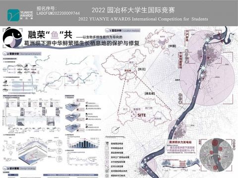 融荣“鱼”共---以生物多样性提升为导向的葛洲坝下游中华鲟繁殖生长栖息地的保护与修复