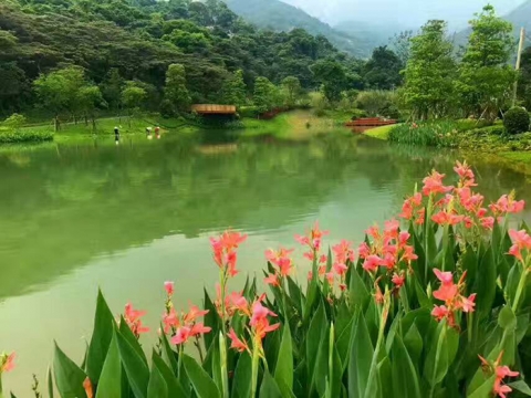 广东罗浮山入口公园及纪念广场一期景观工程