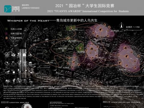 Whisper of the Heart——青岛城市更新中的人鸟共生
