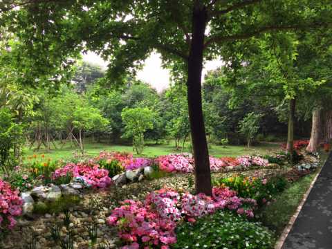 青山公园海绵化改造设计