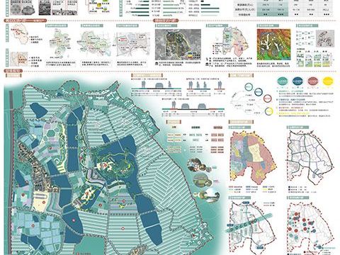 碧根有约，岭上相见