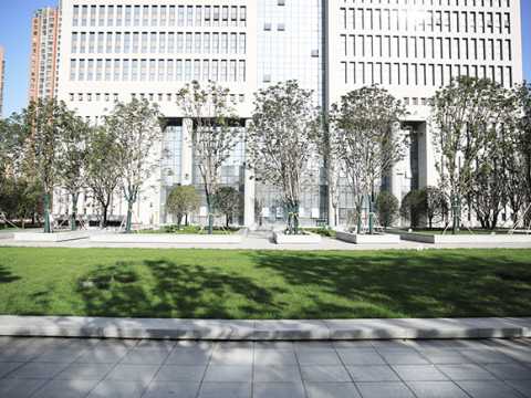 浐灞生态区商务中心庭院景观设计