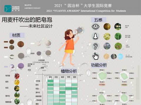 用麦杆吹出的肥皂泡