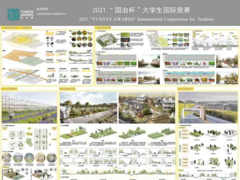 城圃活化·重结晶