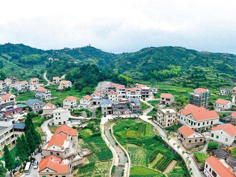 军营村乡村振兴人居环境整治