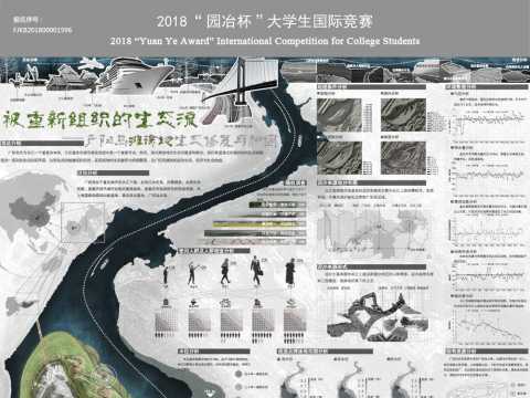 被重新组织的生态流——广阳岛滩涂地生态修复与加固