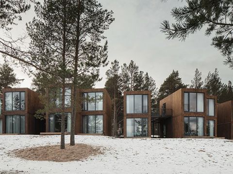 RHIZOME | 地图上的托奇卡