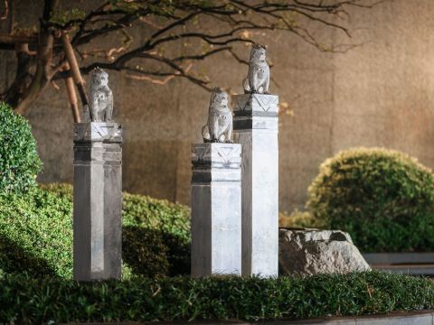 长沙市保利天瑞项目体验区一标园林绿化（生态）工程