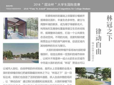 “林冠之下，律动自由”城市山体公园设计