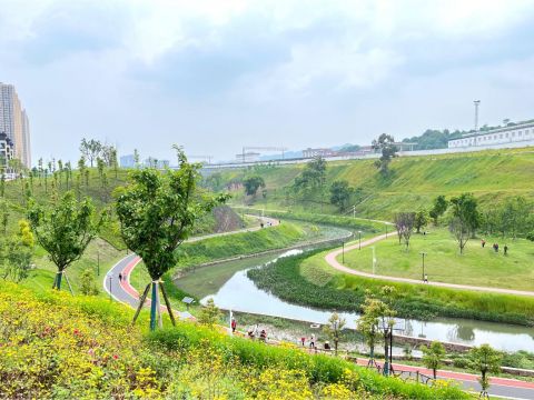 重庆市大渡口区跳磴河“清水绿岸”治理提升工程