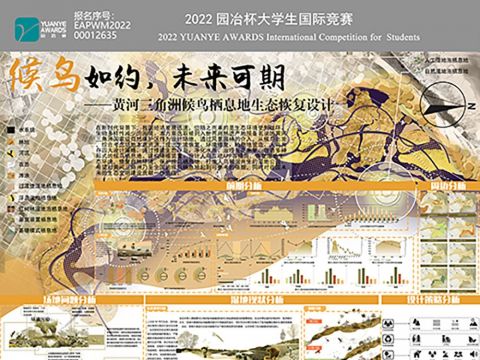 候鸟如约，未来可期——黄河三角洲候鸟栖息地生态恢复设计