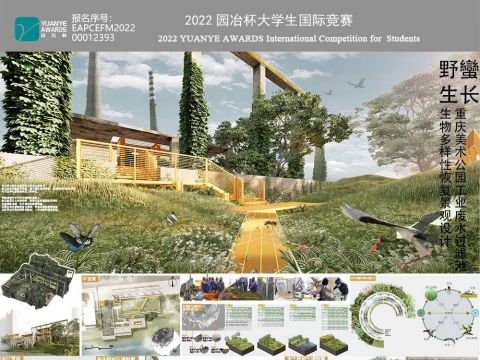 野蛮生长―—重庆美术公园工业废水过滤池生物多样性恢复景观设计