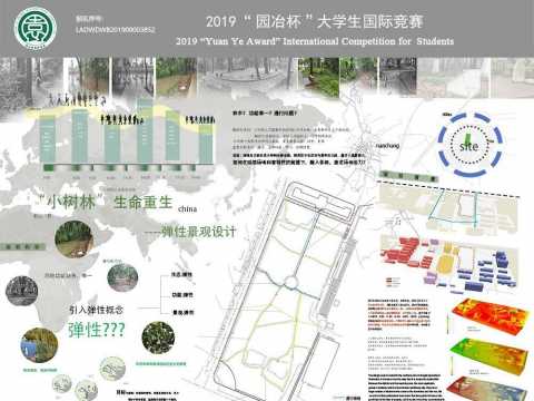 “小树林”生命重生——弹性景观设计