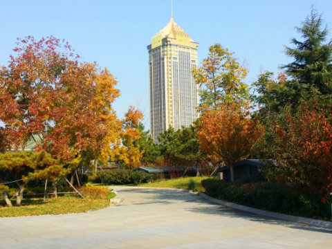 威海客运中心（威海站）站前广场景观方案设计