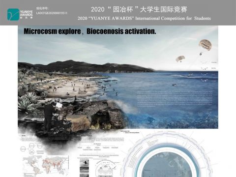 微观探索，生物群落激活