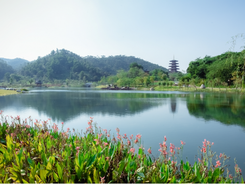 金台山智慧公园景观设计