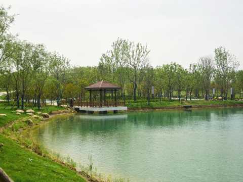 灵璧县闵庄垃圾站生态治理工程