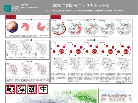 鲸浮潮生——顺势而为校园滨水城市空间设计