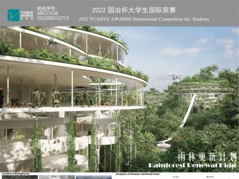 雨林更新计划——Rainforest Renewal Plan