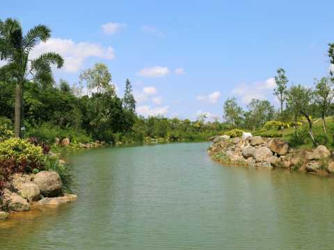 不忘初心·共建红林——湛江市三岭山森林公园党建红林景观设计工程