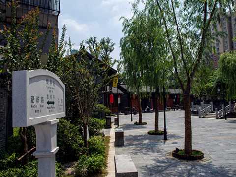 银屏街景观绿化提升工程