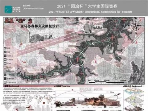 星星“治”火——亚马逊森林火灾修复设计