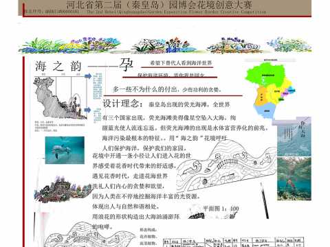 海之韵——孕（呼吁人类保护海洋及海洋生物）