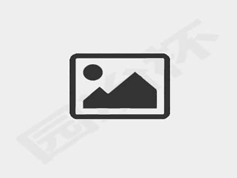 满堂彩--团练冲研学教育基地设计